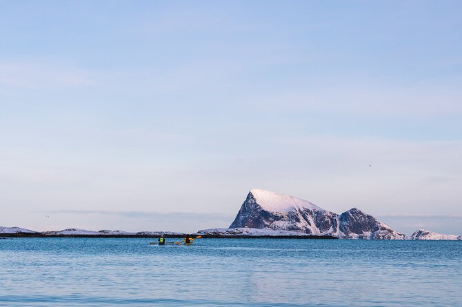 Discovery Tour of the Island of Senja and Kvaløya From Tromsø - Tour Activities and Experiences