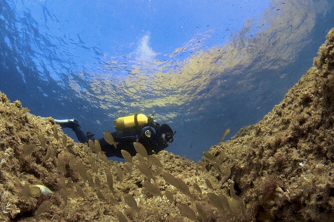 Diving Baptism in the Marine Reserve of Cabo Tiñoso - Booking Information and Requirements