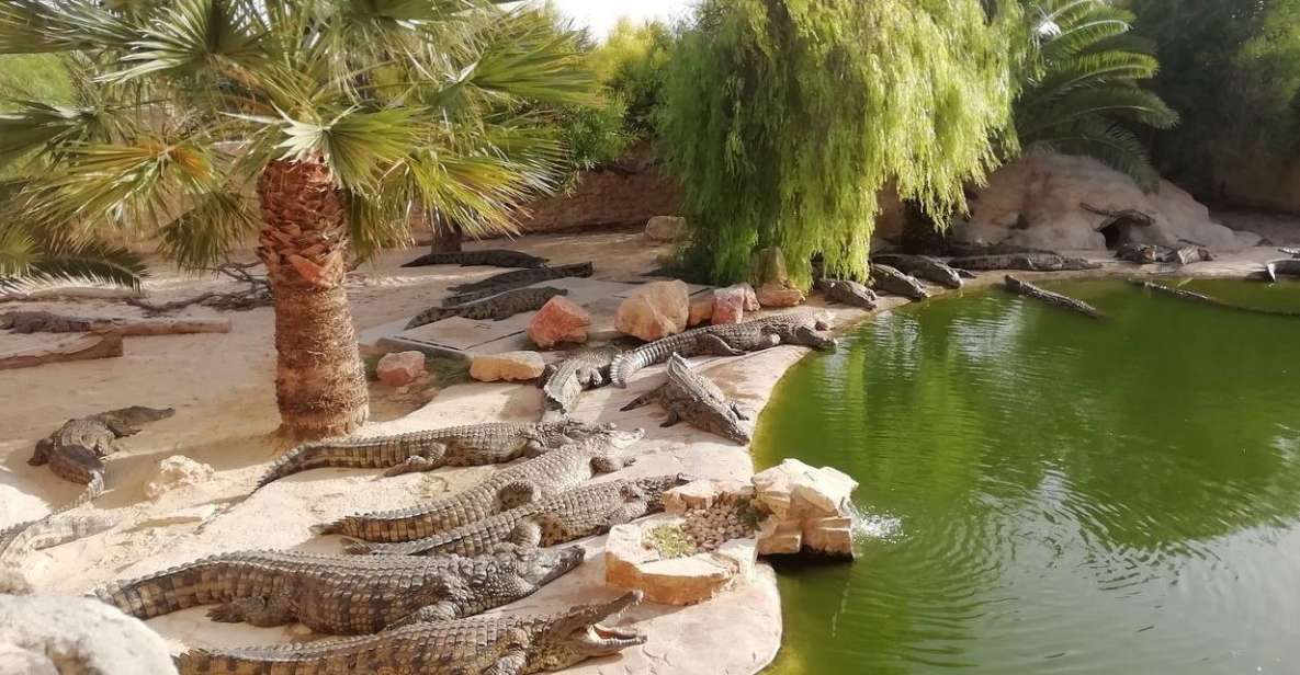 Djerba: Explore Park and Crocodile Farm With Pickup - Experience Highlights