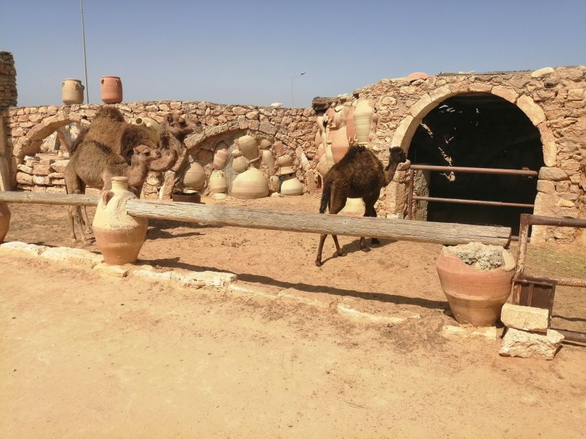 Djerba: Pottery Village and Heritage Museum Tour - Activity Details