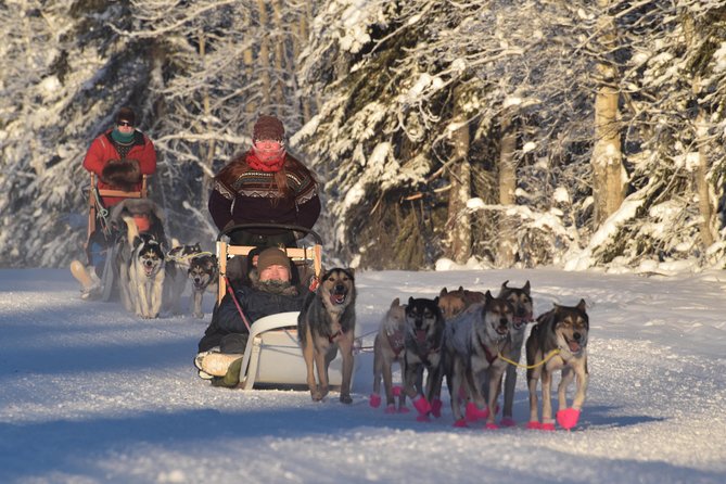 Dog Sledding and Mushing Experience in North Pole - Dog Care and Training