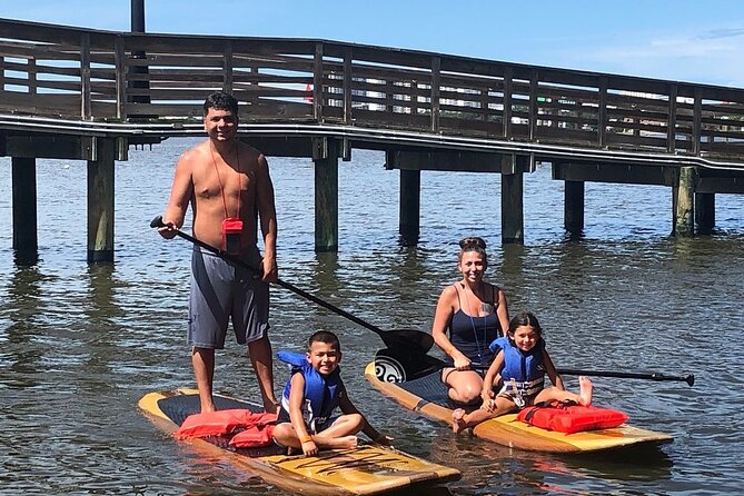 Dolphin and Manatee Stand Up Paddleboard Tour in Daytona Beach - Weather and Activities