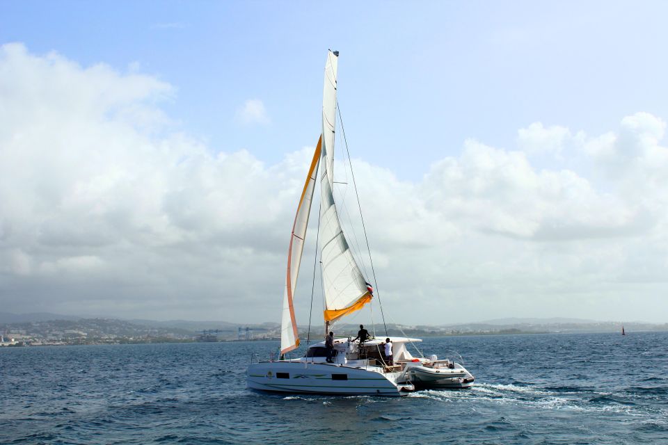 Dolphin Excursion in Martinique - Unique Dolphin Watching Experience