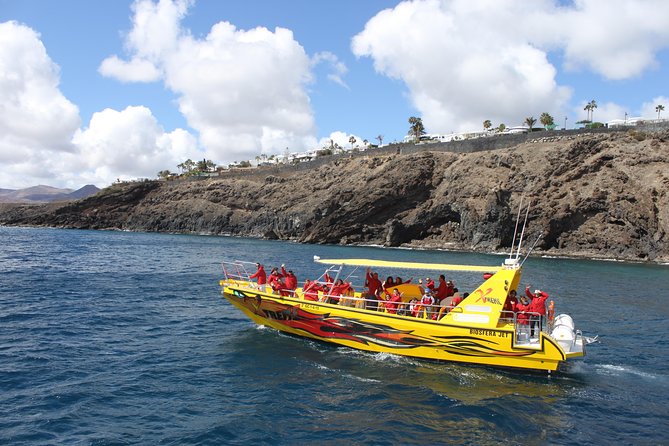 Dolphin Mini Cruise at Playa Del Carmen - Important Information