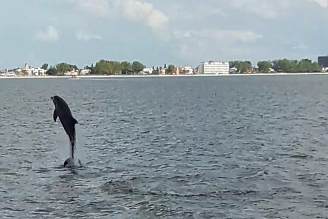 Dolphin Quest - Sightseeing/Eco Cruise, Johns Pass, Madeira Beach, FL - Booking Information