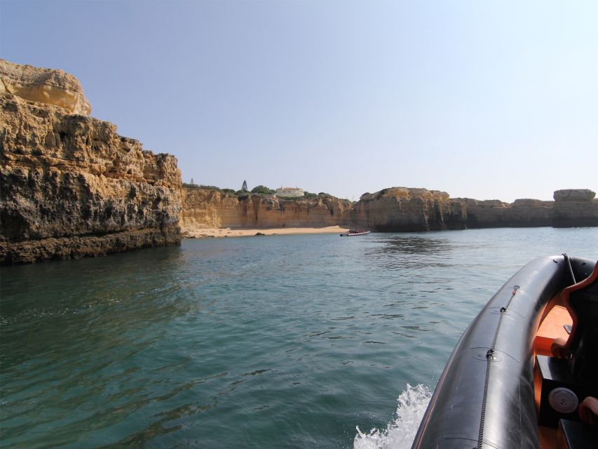 Dolphin Safari and Cave Tour in Vilamoura - Experience Highlights