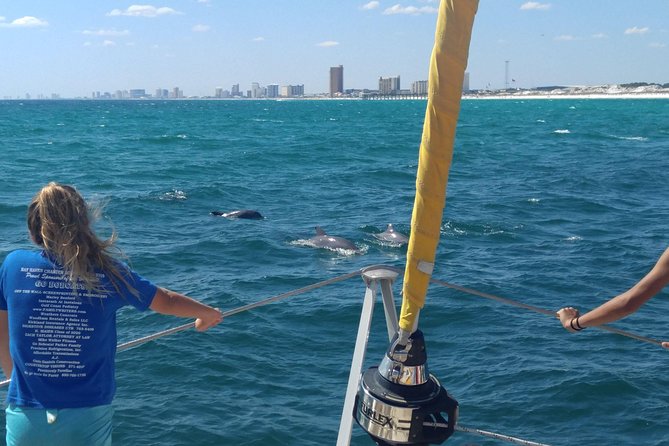 Dolphin Sightseeing Tour on the Footloose Catamaran From Panama City Beach - Meeting and Logistics
