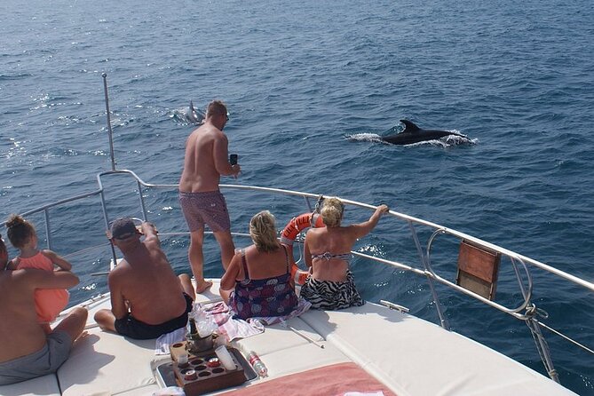 Dolphin Spotting Trips in Fuengirola With Free Drinks and Snacks - Departure Point