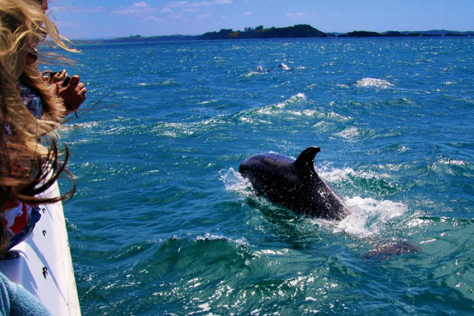 Dolphin Watching in Trincomalee - Location Insights and Accessibility