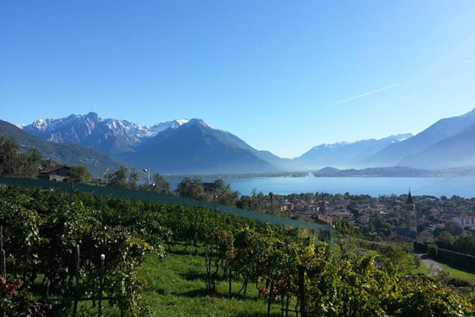 Domaso: Wine Tasting at the Winery on Lake Como - Wine-Making Process and Techniques