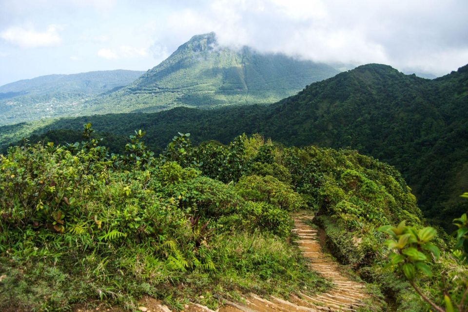 Dominica Hiking Adventures - Trail Options