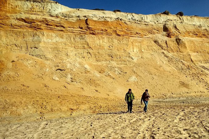 Donana National Park and El Rocío: 4x4 Guided Tour From Seville - Inclusions and Services