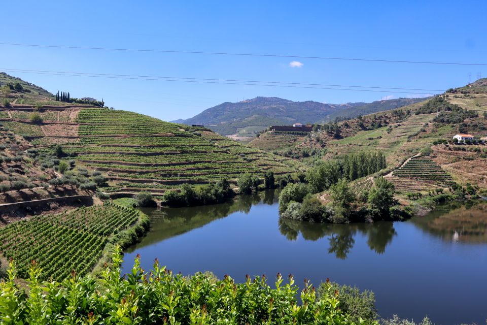 Douro Valley: Douro Valley Tour Including 3 Wineries - Wine Tasting Experience