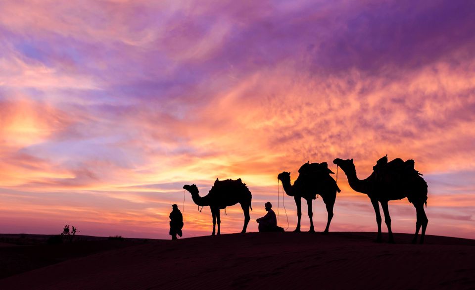 Douz: Camp Stay With Dinner, Sunset & Sunrise by Camel - Experience Details