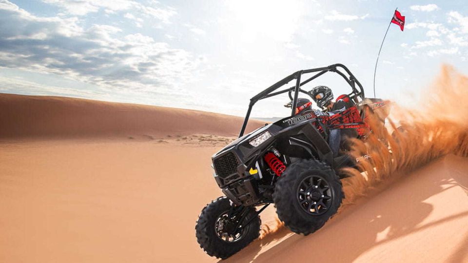 Douz: Half-Day Sahara Desert Buggy Adventure - Experience Highlights