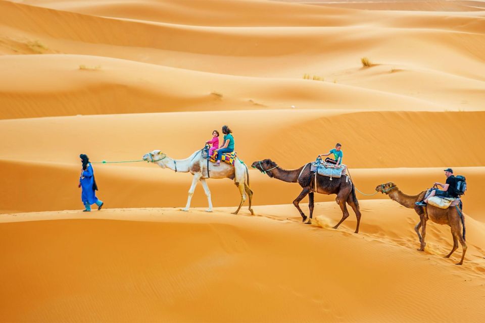 Douz: Sahara Desert Camel Trek With Lunch - Activity Inclusions