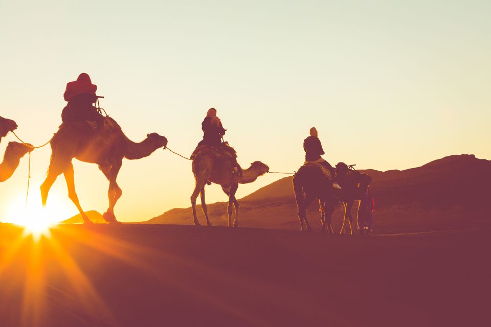 Douz: Sunset or Sunrise Sahara Desert Camel Ride - Experience Highlights