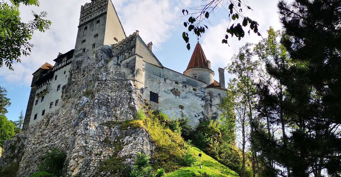 Dracula: 1-Day Private Castle Tour - Booking Details