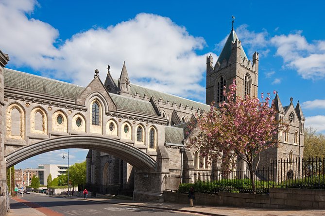 Dublin Small-Group Priority St. Patricks and Whiskey Tour - End Point Details