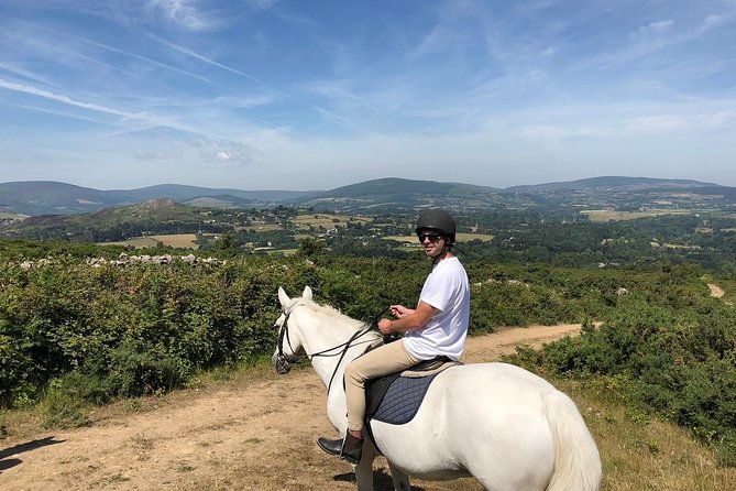 Dublin to Wicklow and Glendalough Guided Tours With Horse Riding - Visitor Feedback and Reviews