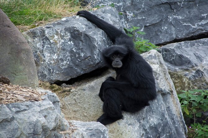 Dublin Zoo Skip-the-line Tickets and Private Transfers - Refund Policy