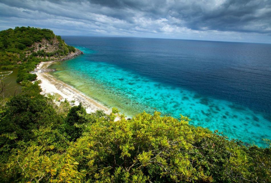 Dumaguete Apo Island With Turtle Snorkeling - Live Tour Guides and Language