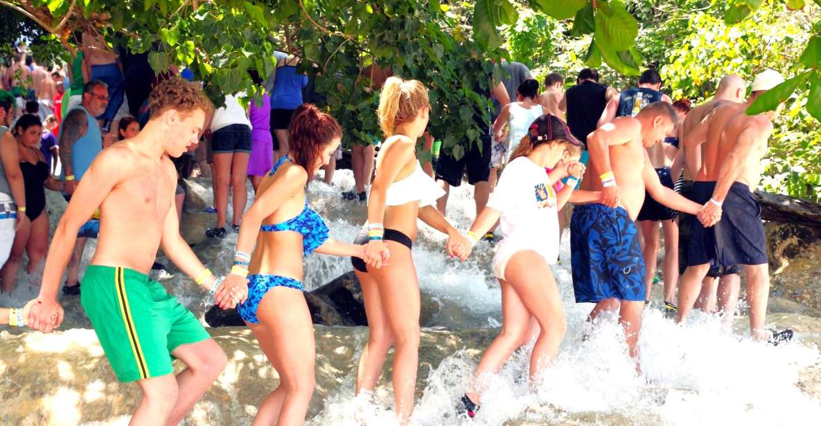 Dunn's River Falls and Fern Gully Highlight Tour - Experience Highlights