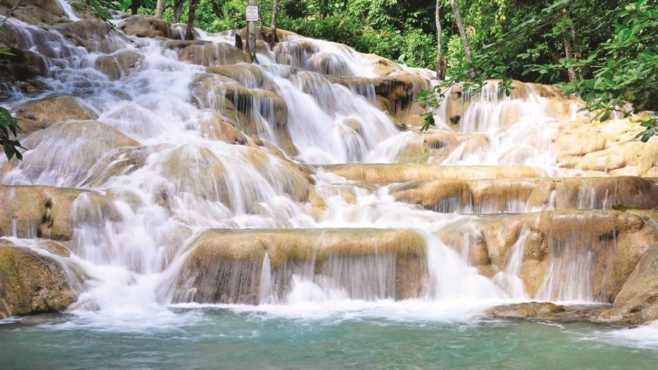 Dunn's River Falls and Luminous Lagoon With Transportation - Experience Highlights