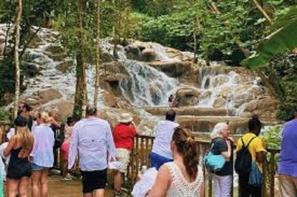 Dunn's River Falls Day Tour - Tour Experience
