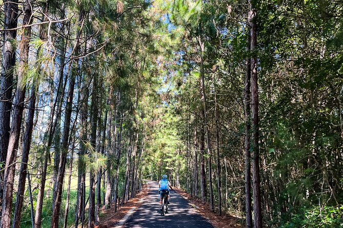 E Bike Hire - Northern Rivers Rail Trail - Self Guided Tour - Participant Requirements