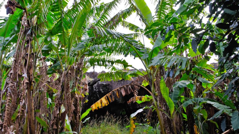 Easter Island: Ancestral Caves and Orongo Last Village - Full Tour Description