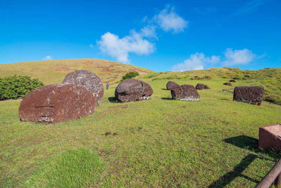 Easter Island: Private North & West Highlights Tour - Tour Logistics