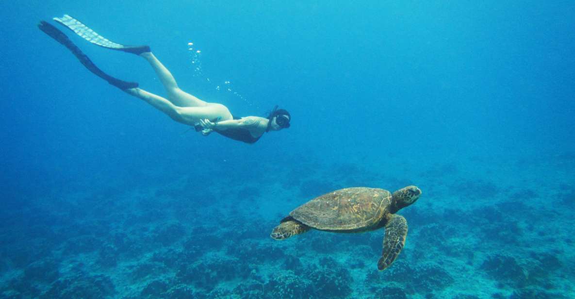 Easter Island: Snorqueling Tour on Coral Reefs - Full Tour Description