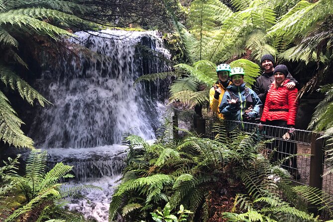 Easy Bike Tour - Mt Wellington Summit Descent & Rainforest Ride - Inclusions and Recommendations