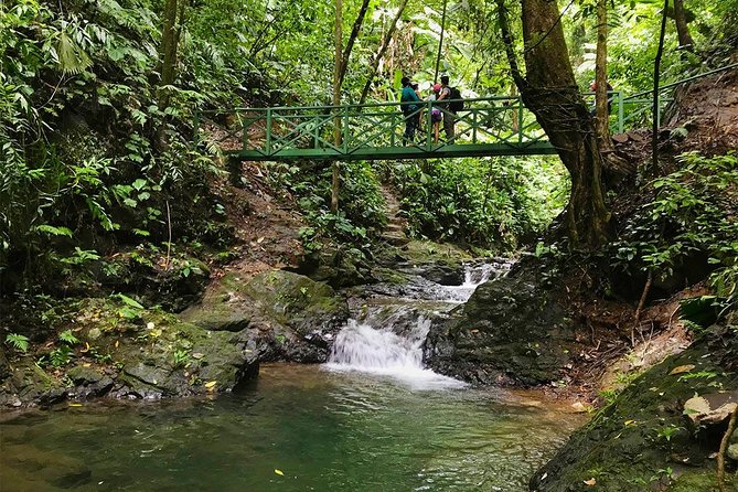 Ebano Waterfalls and Rainforest Safari Tour - Pricing Information