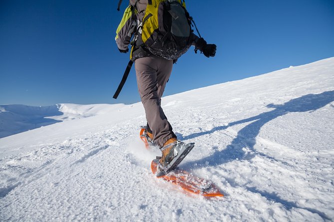 Eco Friendly Snowshoeing in Scenic Landscape - Choosing the Right Gear