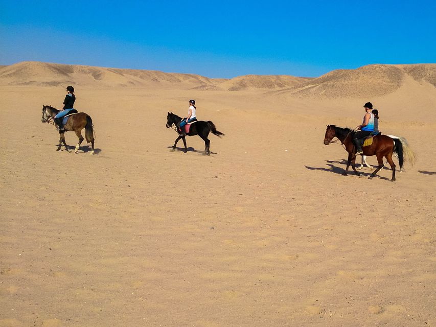 El Gouna: Desert & Sea Horse Riding With Swimming Optional - Experience Highlights in El Gouna