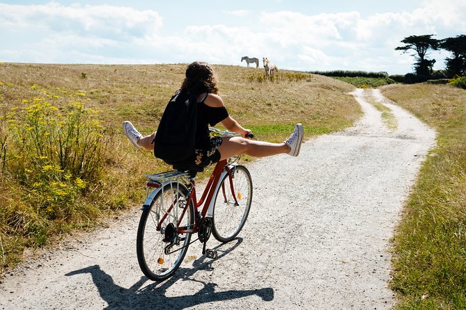 Electric Bike Excursion in Camargue - Experience Highlights