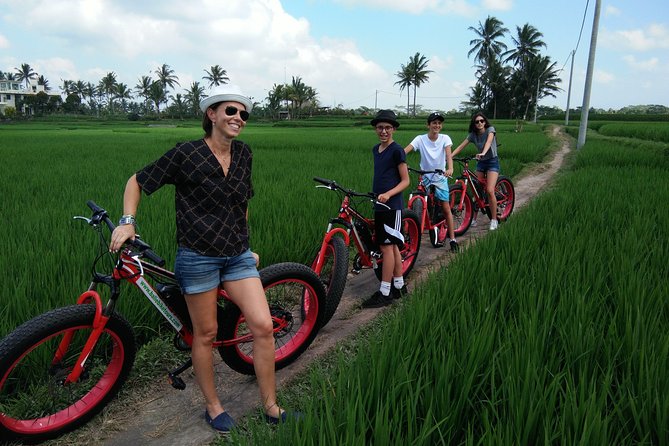 Electric Bike Tour in Ubud - Reviews and Tour Experience