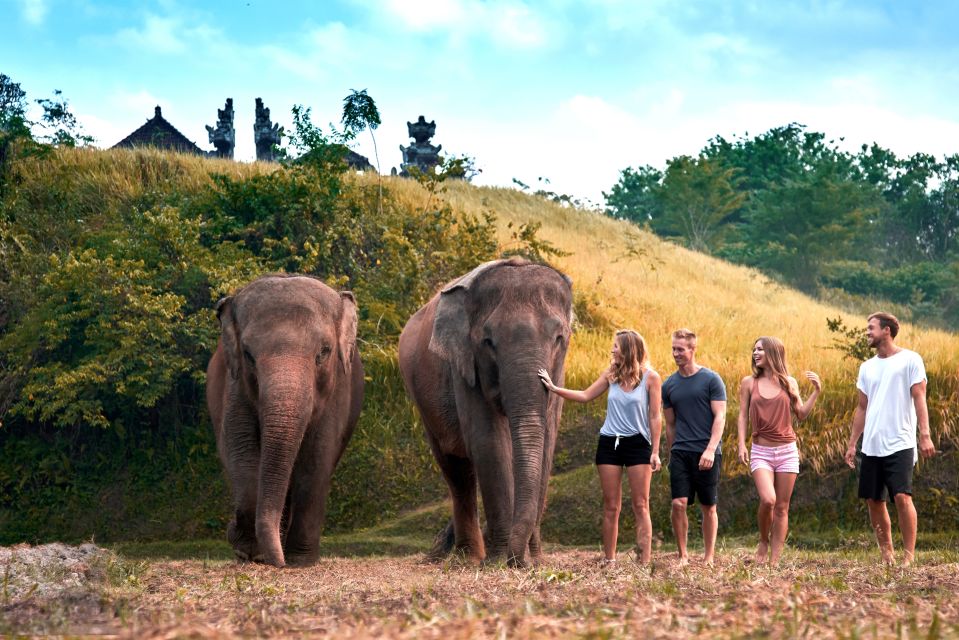 Elephant Care Experience With Mud Bath at Bali Zoo - Booking Tips