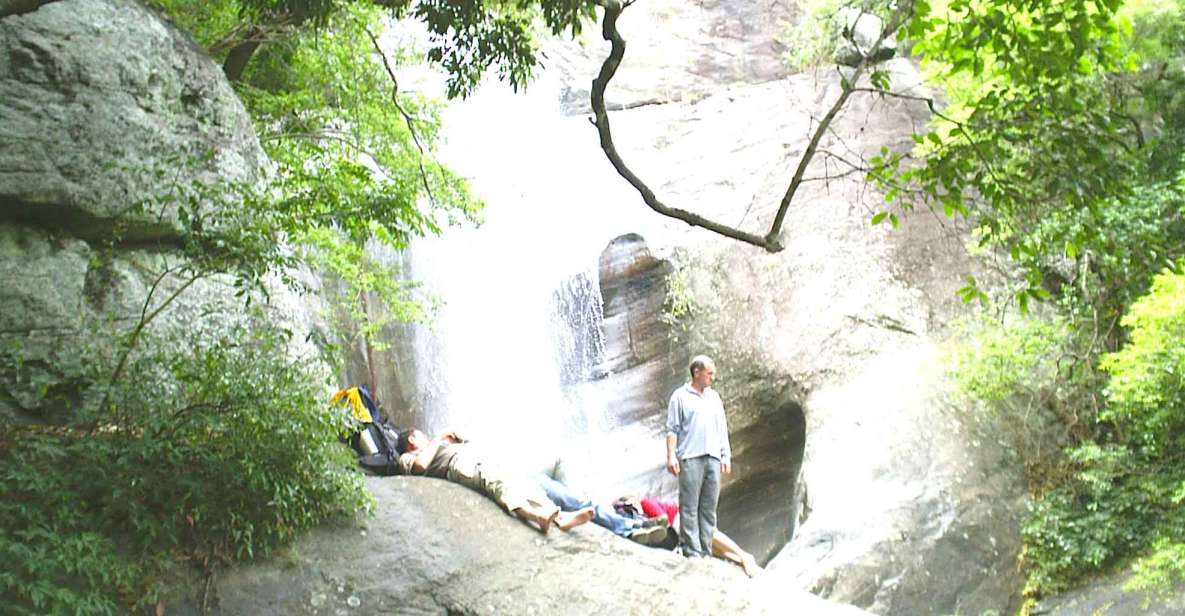 Ella-Trekking Through Forest Tea Plantation & Waterfalls - Tour Details
