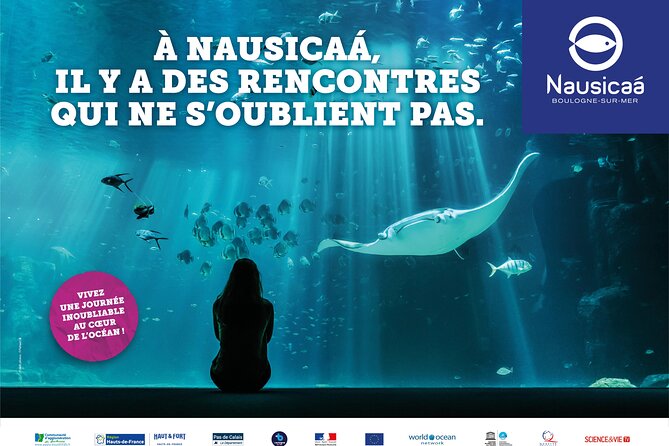 Entrance Ticket Nausicaa, the Biggest Aquarium in Europe - Visitor Reviews and Ratings