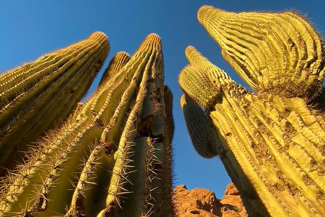 Epic Camelback Mountain Guided Hiking Adventure in Phoenix, Arizona - Cancellation Policy Details