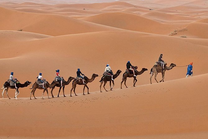 Erg Chebbi Overnight Small-Group Camel Adventure From Fez (Mar ) - Customer Reviews and Recommendations
