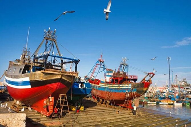 Essaouira Day Trip From Marrakech - Customer Reviews