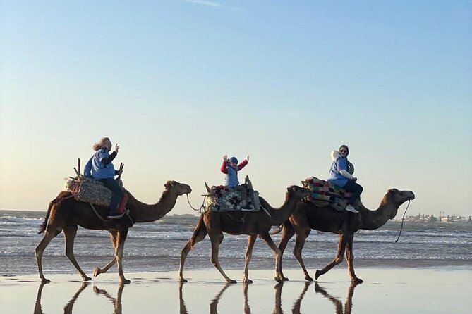 Essaouira Private Camel Ride (1 Hour). - Meeting and Pickup Options