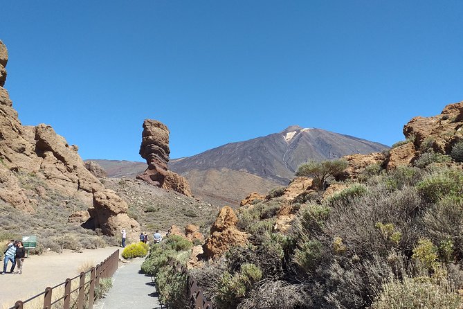 Essential Tenerife and Teide Shore Excursion VIP TOUR - Cancellation Policy