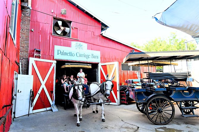 Evening Horse-Drawn Carriage Tour of Downtown Charleston - Experience Highlights