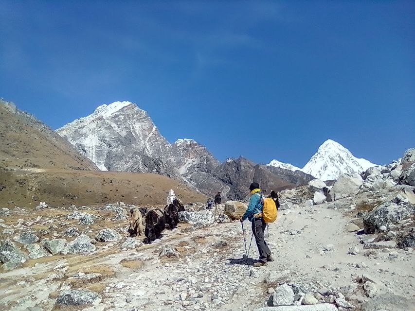 Everest Base Camp: 12-Day Trek From Kathmandu - Experience Highlights