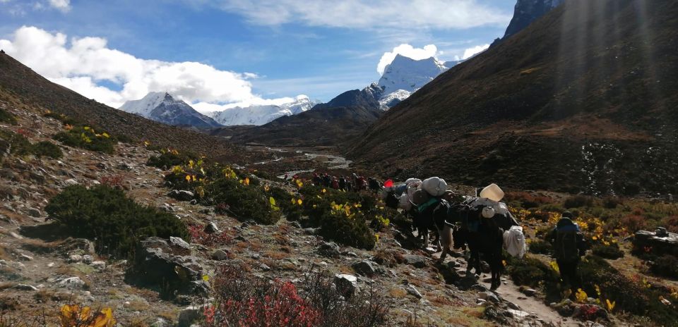 Everest Base Camp Comfort Trek - 18 Days - About the Activity